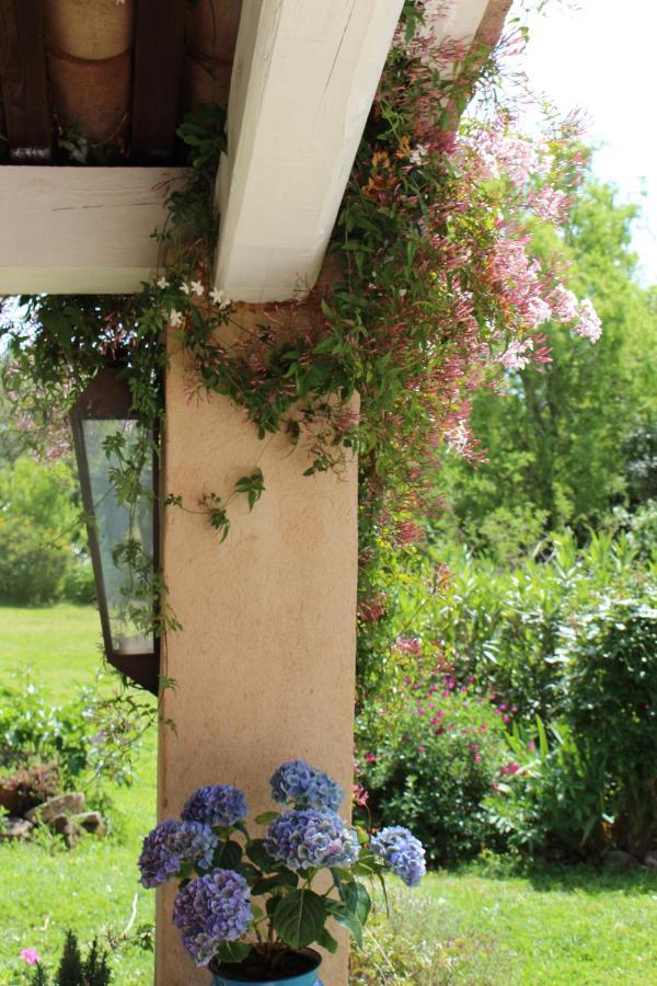 Mas Les Romarins, 10 Min D'Uzes, Piscine Et Grand Jardin Clos, Jeux, Nid De Repos Et Base Pour Activites Dans Le Gard (Adults Only) Exterior foto