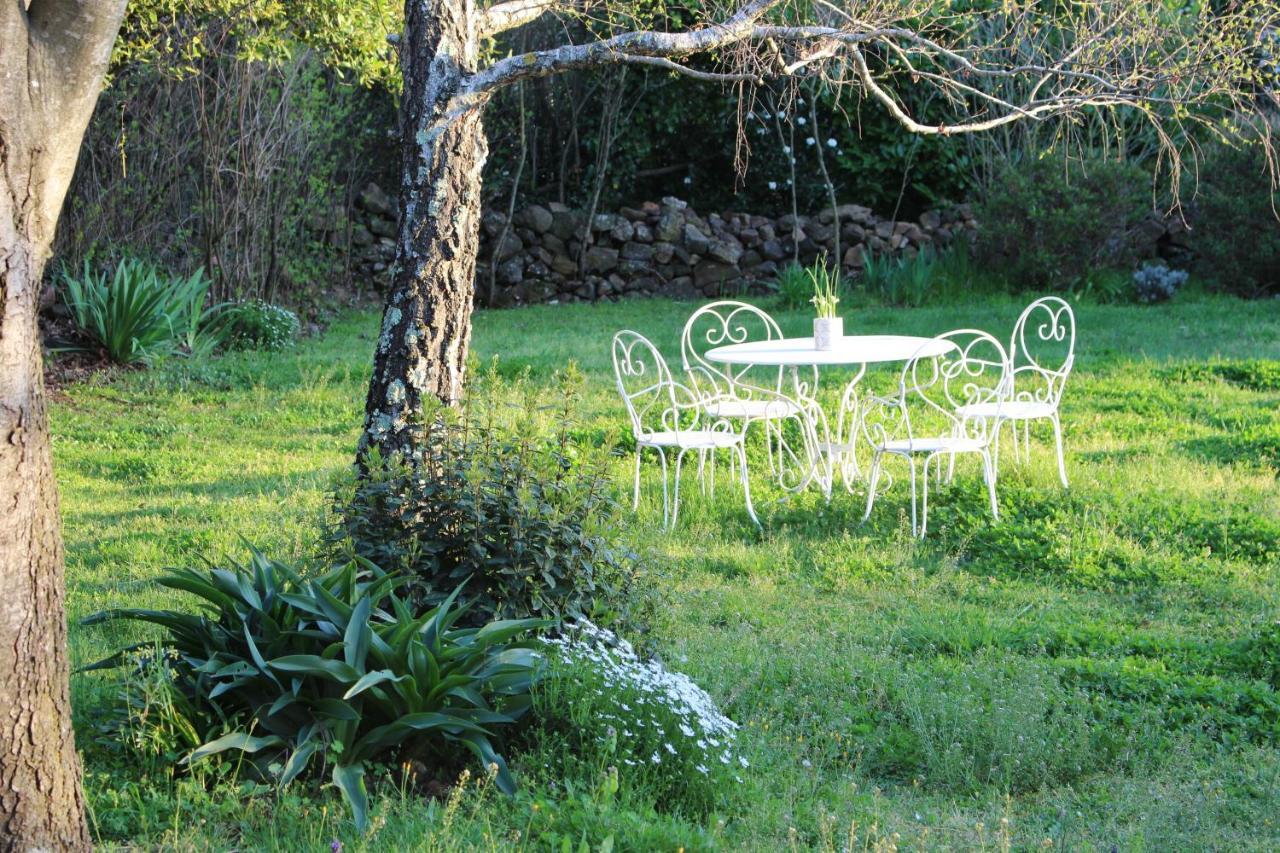 Mas Les Romarins, 10 Min D'Uzes, Piscine Et Grand Jardin Clos, Jeux, Nid De Repos Et Base Pour Activites Dans Le Gard (Adults Only) Exterior foto