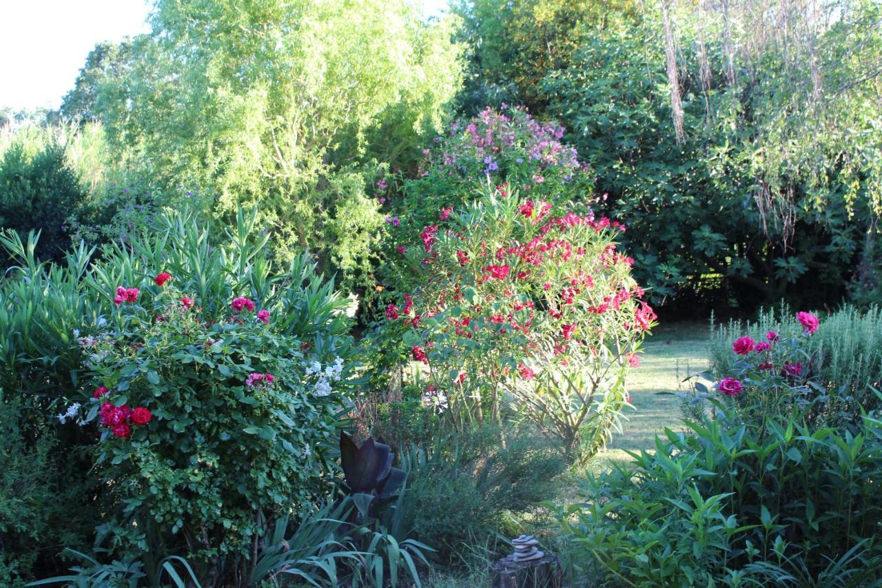 Mas Les Romarins, 10 Min D'Uzes, Piscine Et Grand Jardin Clos, Jeux, Nid De Repos Et Base Pour Activites Dans Le Gard (Adults Only) Exterior foto